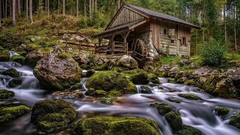 Мельница в лесу