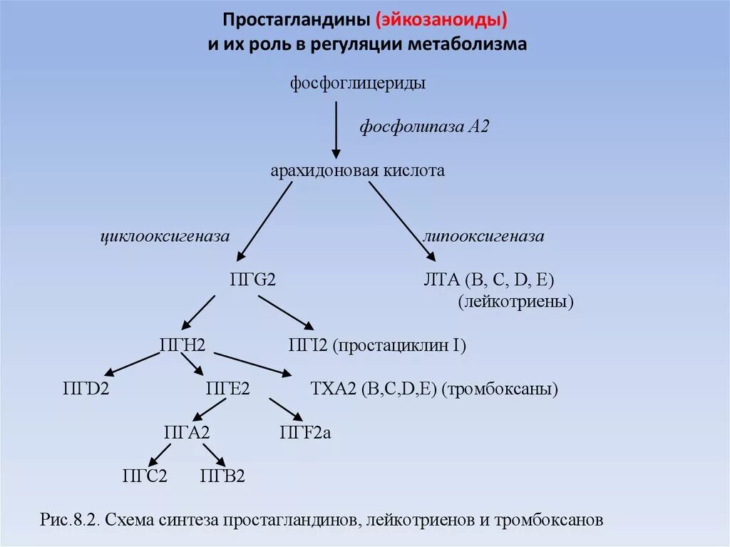 Формула арахидоновой кислоты. Метаболизм арахидоновой кислоты. Арахидоновая кислота образование простагландинов. Схема синтеза эйкозаноидов из арахидоновой кислоты. Простагландины группы е2.