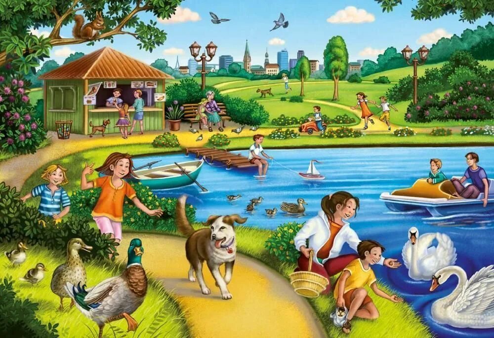 What can you see from some place