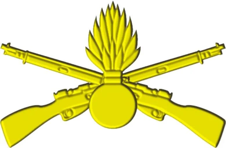 Рода войск украины. Флаг сухопутных войск Украины. Перекрещенные винтовки. Эмблема сухопутных войск. Скрещенные ружья.