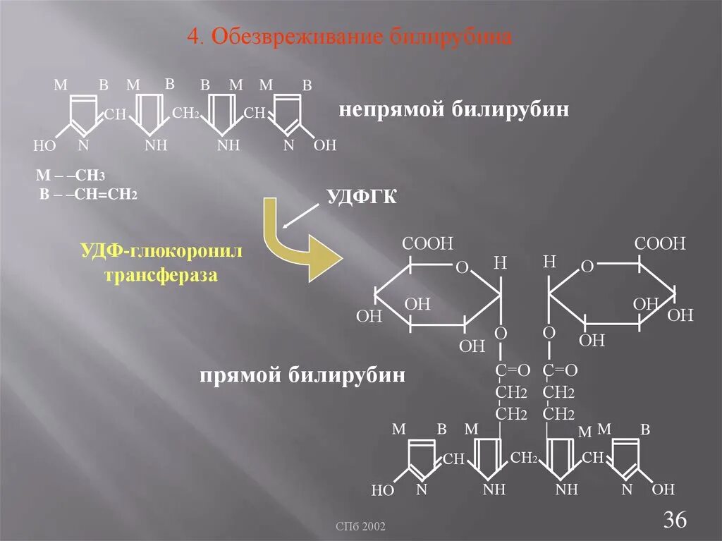 Обезвреживаются яды под действием ферментов печени. Формула прямого билирубина биохимия. Прямой и непрямой билирубин формула. Обезвреживание непрямого билирубина. Распад гема обезвреживание билирубина биохимия.