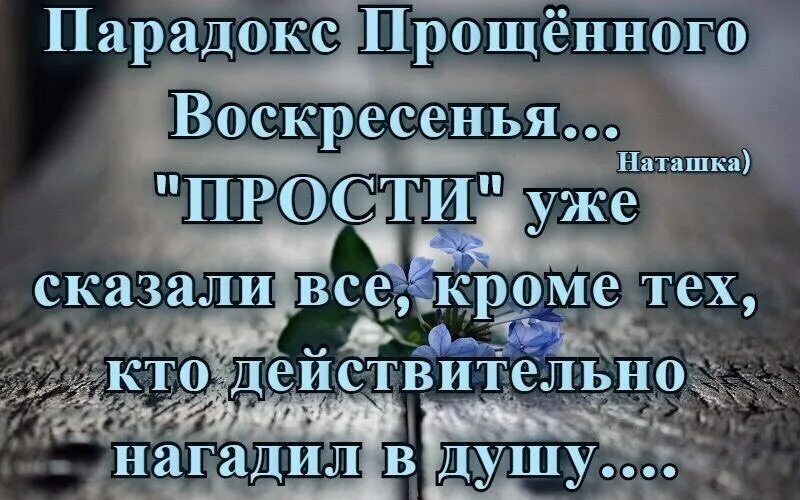 Прощения попросили все кроме тех. Прощенное воскресенье цитаты. Высказывания о Прощенном воскресенье. Афоризмы про прощенное воскресенье. Статус прощенное воскресенье.