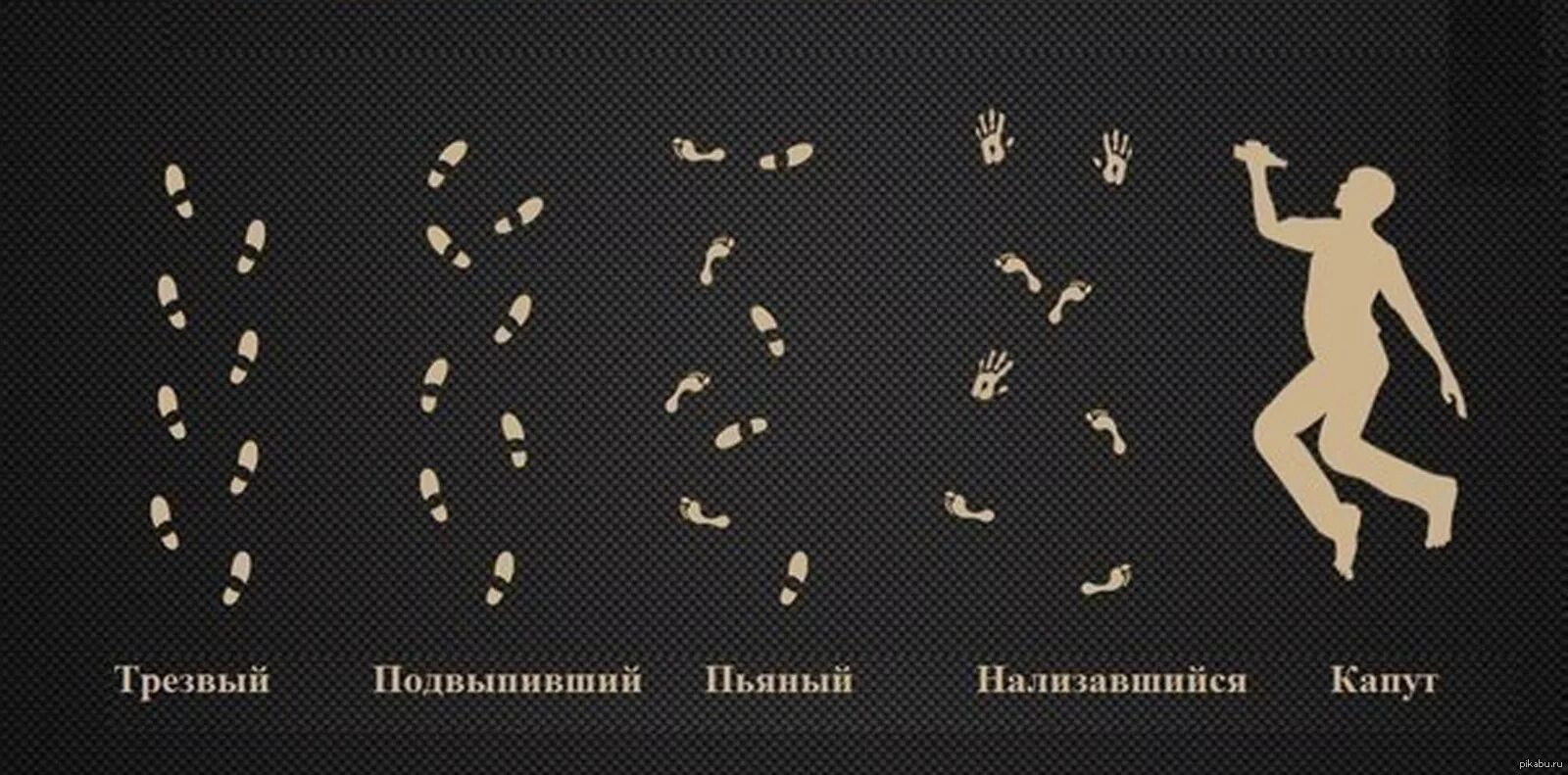 Уровень алкогольного опьянения. Стадии опьянения. степени алкогольного опьянения. стадии алкогольного опьянения картинка. степени алкогольного опьянения шуточная.