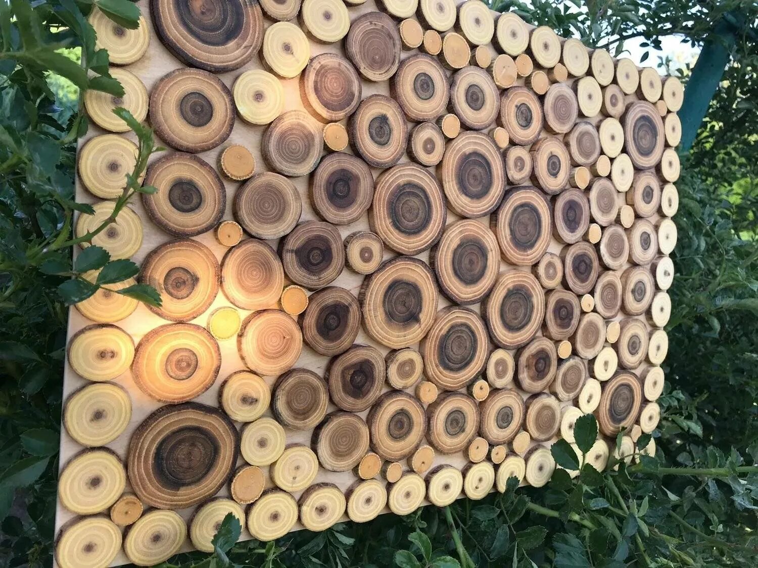 Из спилов дерева. Декоративный спил дерева. Декор из деревянных спилов. Спилы дерева на стене. Что сделать из спилов дерева