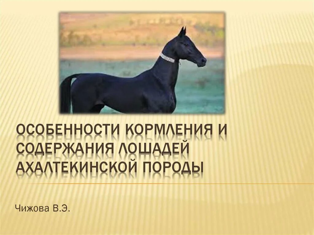 Сколько содержать лошадь. Особенности содержания лошадей. Содержания презентация лошадей. Коневодство слайд. Ахалтекинские скакуны презентация.