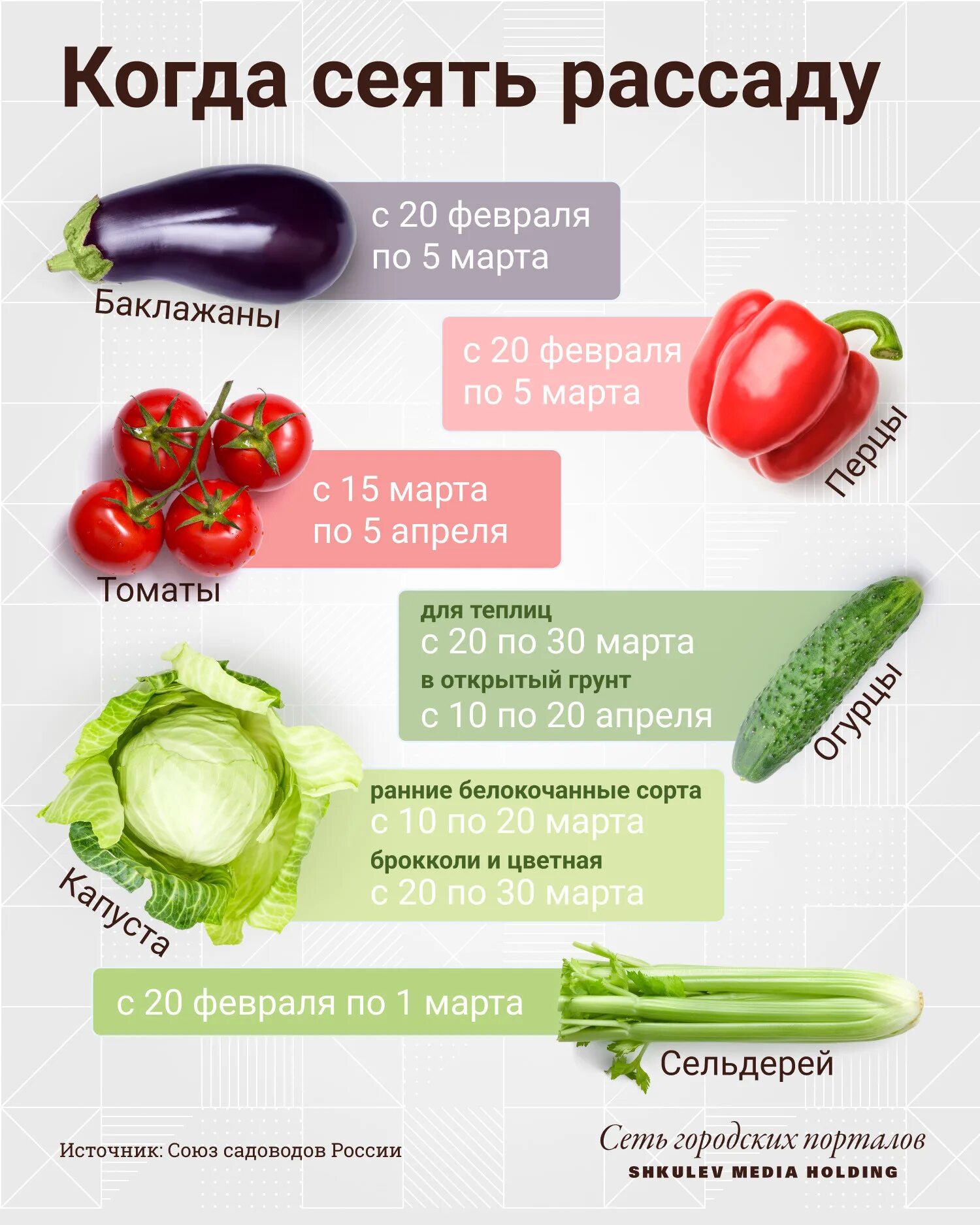 Можно ли сажать перец в марте. График посадки перца на рассаду. Когда сажать помидоры и перец на рассаду. Календарь посева рассады. Сроки посадки овощей на рассаду в 2022 году.