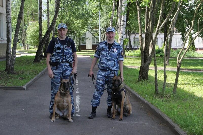 ЦКС УВД ЮЗАО. Центр кинологической службы МВД Москва. ЦКС ВАО МВД. ЦКС Москва. Московских кинолог