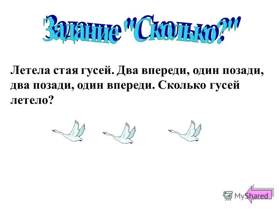 Загадка летела стая птиц. Летела стая гусей один впереди. Стая гусей летит. Стая гусей один позади два впереди. Задача про гусей летела стая.