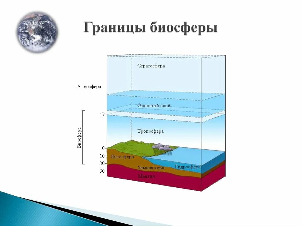 2 биосфера включает. Слои атмосферы Биосфера. Структура биосферы и ее границы. Биосфера структура биосферы. Состав биосферы оболочки.