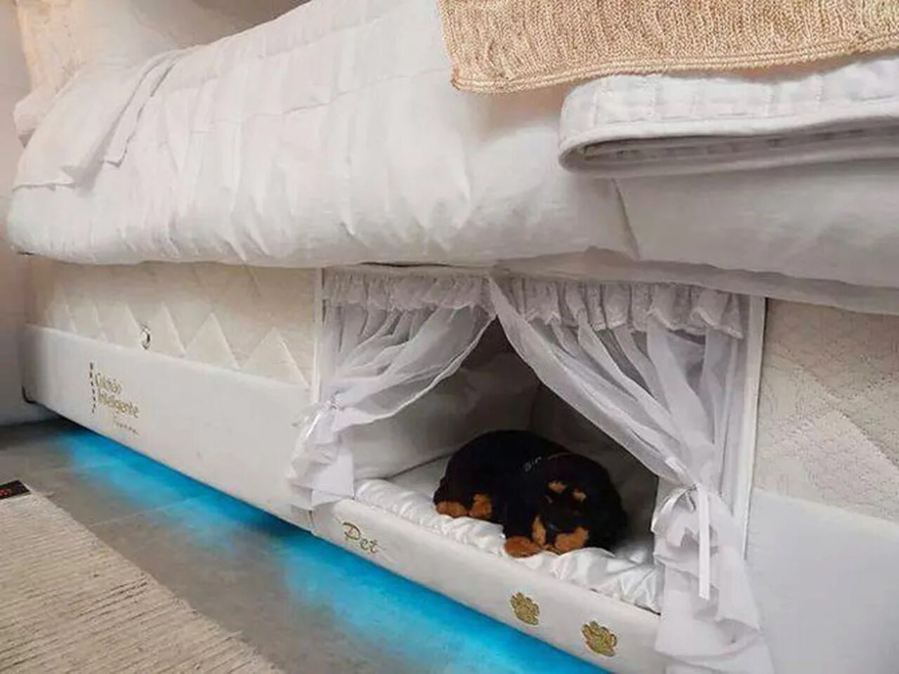 Собачья кровать для человека. Кровать с местом для собаки. Спальное место для кошки. Спальное место для собаки. Кровать для кошки.