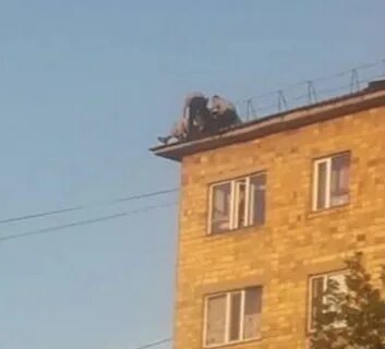 Магнитошахтинкс что это