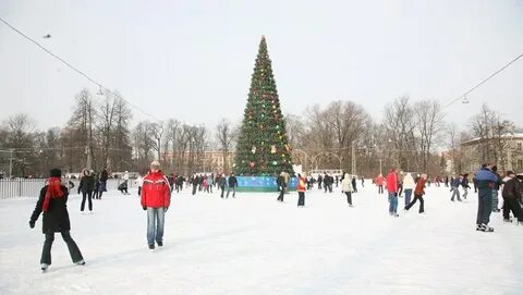 Каток цпкио расписание