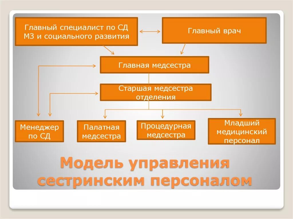 Организация работы главной медицинской. Структура управления сестринским и младшим медицинским персоналом. Структура управления сестринской службой. Модель управления сестринским персоналом. Структура сестринского персонала в ЛПУ.