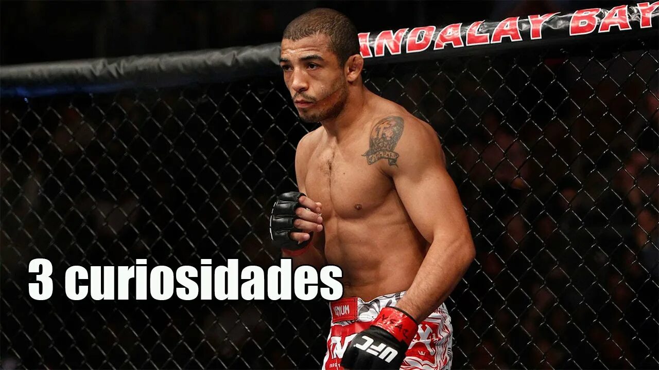 Алду москва. Жозе альдо чад мендес. Алду москва. Алду москва. Jose aldo ufc.