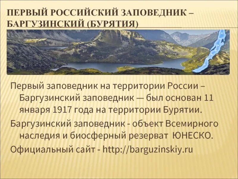 Баргузинский заповедник 11 января 1917 год. Первый заповедник в России Баргузинский. Баргузинский заповедник доклад. Презентация на тему заповедники России.