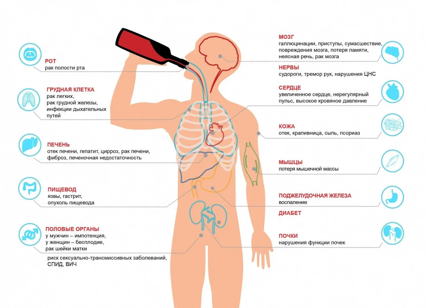 Почему мужчины опасны. Заболевания органов при алкоголизме. Заболевания вызванные алкоголем. Заболевания при злоупотреблении алкоголем.