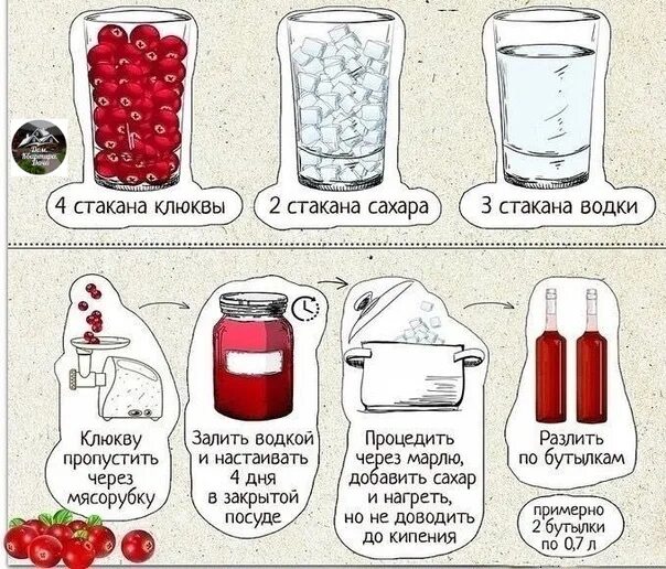 Настойка из клюквы в домашних условиях. Рецепты настоек на самогоне на 3 литра