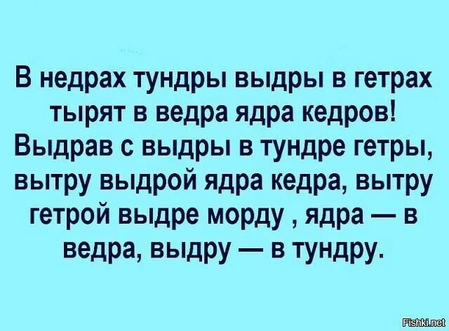 В недрах тундры. Скороговорка в недрах тундры выдры в гетрах тырят в вёдра ядра кедров. В недрах тундры выдры в гетрях тыр. В тундре выдры в гетрах тырят. Выдры в гетрах тырят в вёдра ядра.