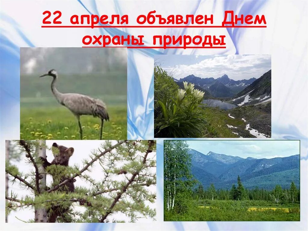 Охрана природы в нашем крае 4 класс. Охрана природы. Охрана и защита природы в Красноярском крае кратко. Охрана природы Казахстана. Проект охрана природы Серпухова.