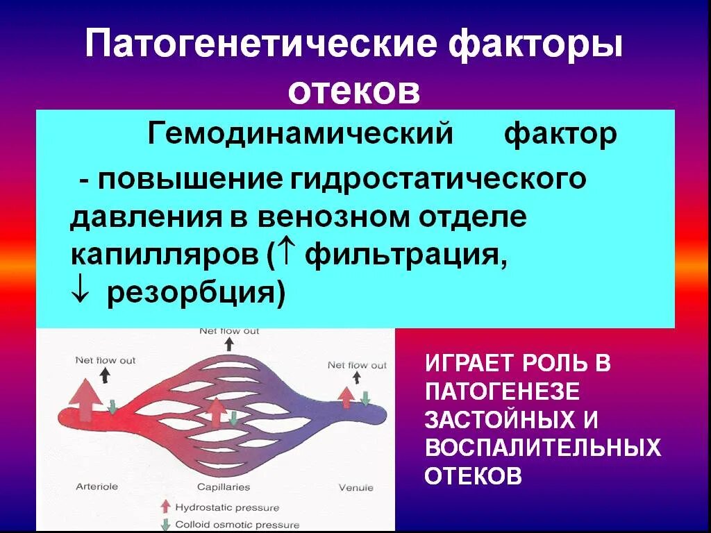 Основной фактор в патогенезе воспалительного отека. Патогенетические факторы отеков. гидростатический отек патогенез. патогенетические факторы развития отеков. основные патогенетические факторы отека.