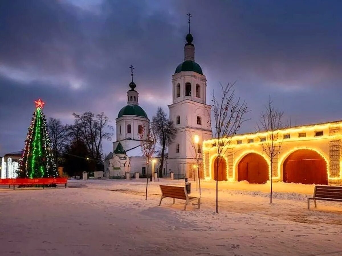 Зарайск животное. Зарайск кремль. зарайск набережная. зарайск 2025. зарайск город зимой.
