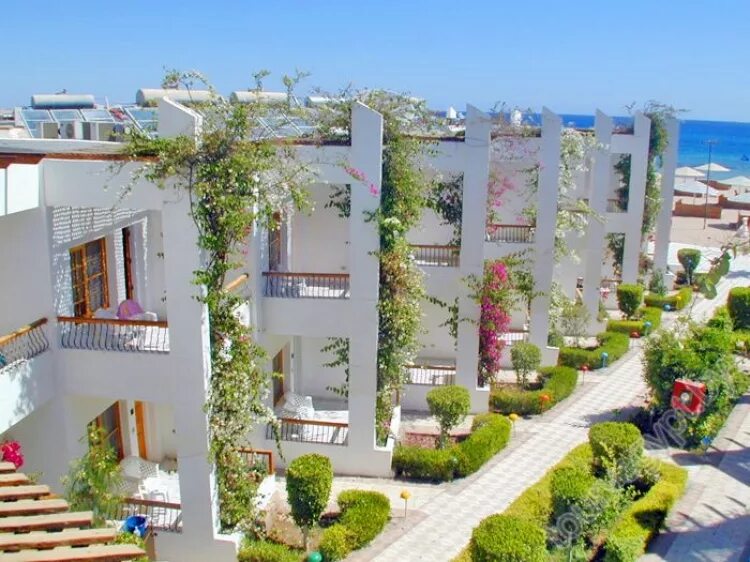 Египет менавиль сафага 4. Menaville resort 4*. Менавиль резорт египет. Menaville 4 египет хургада. Менавиль сафага отель хургада.