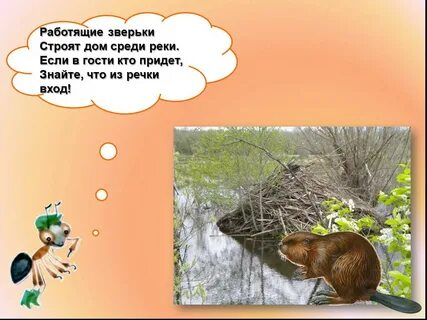 Презентация как живут животные