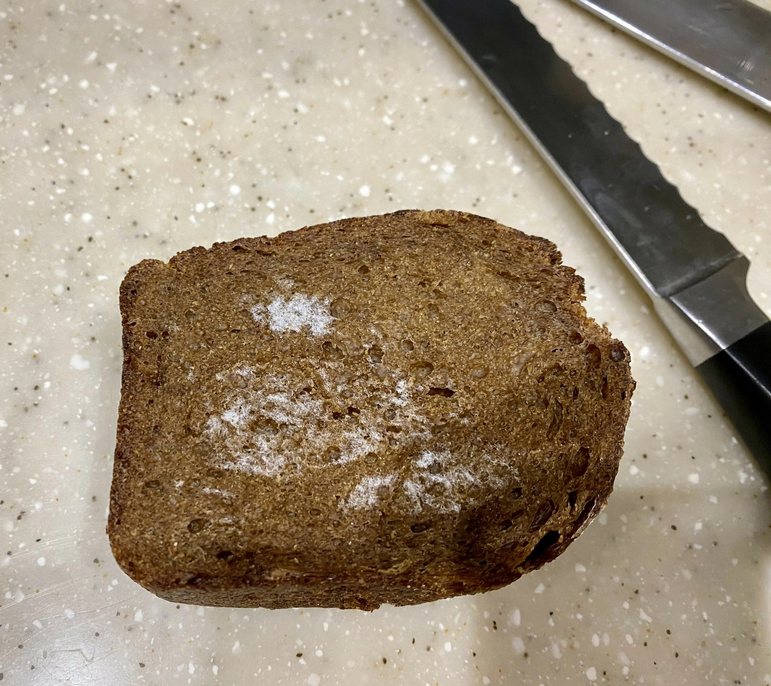 Хлеб без плесени. Плесень на хлебе. Испорченный хлеб. Черная плесень на хлебе. Протухший хлеб.