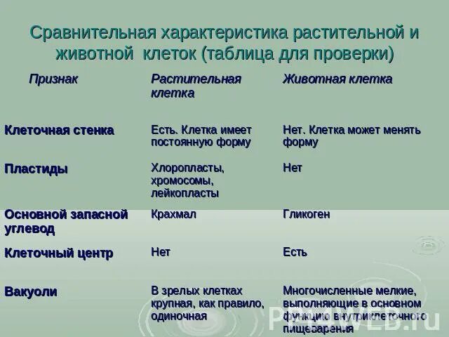 Отличительные особенности растительной. Сравнительная таблица клетки растений и животных. Сравнительная характеристика клеток растений и животных таблица. Сравнение животной и растительной клетки таблица 7 класс. Сравнительная характеристика растительной и животной клетки таблица.