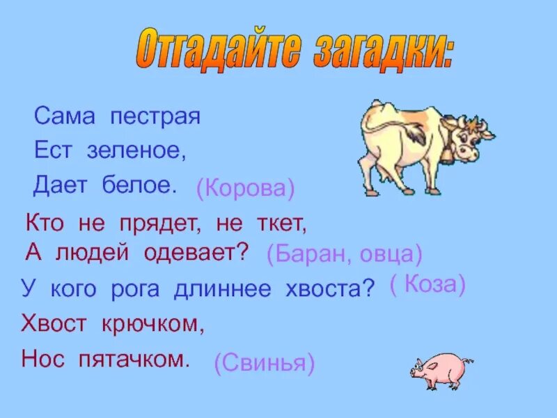 Сама пестр. Овечка хвост, коза хвост. Не прядёт не ткёт а людей одевает ответ на загадку. Не прядет не ткет а людей одевает. Отгадай не прядет не ткет а людей одевает.