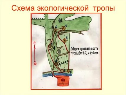Экологическая тропа где находится