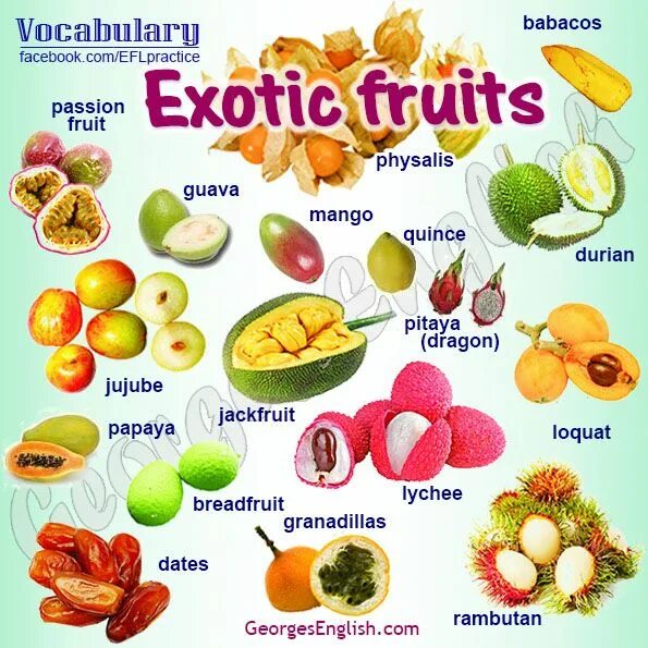 Экзотические фрукты названия. Экзотические фрукты на англ. Фрукты на английском. Тропические фрукты названия.