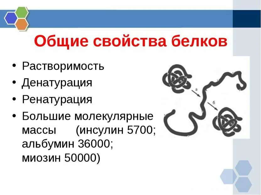 Свойства белков растворимость денатурация. Биологическое значение белков. Свойства белков биология 9. Свойства белков биология 9. Свойства белков.