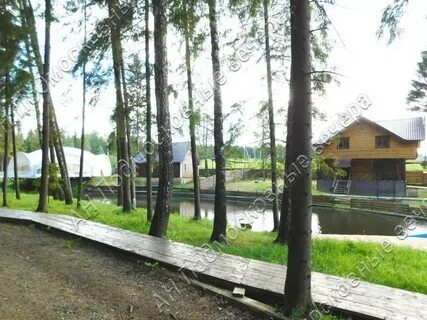 Березовая роща васюково