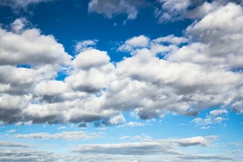 Sky белая