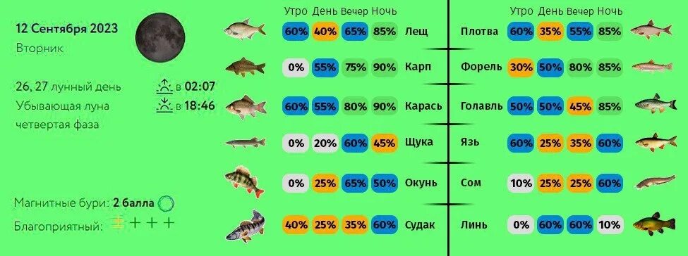 Прогноз клева фокино. Календарь клева щуки на май 2025 год. прогноз клева рыбы усть-каменогорске. прогноз клёва рыбы в тольятти на 5 дней.