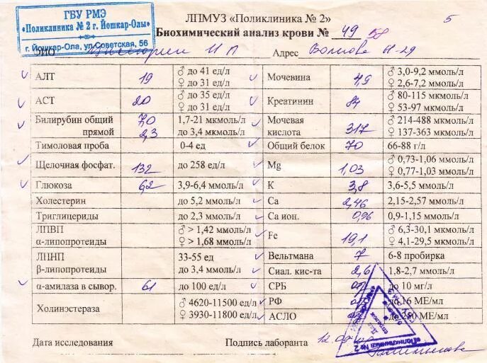 Когда будут готовы анализы крови. Анализ биохимия крови в поликлинике. Биохимический анализ крови биохимия расшифровка. Анализ крови биохимия заключение. Биохимия крови расшифровка анализа в поликлинике.