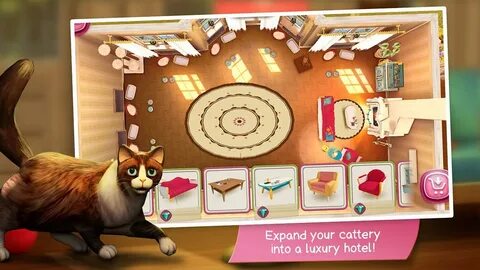Кошачий приют игра