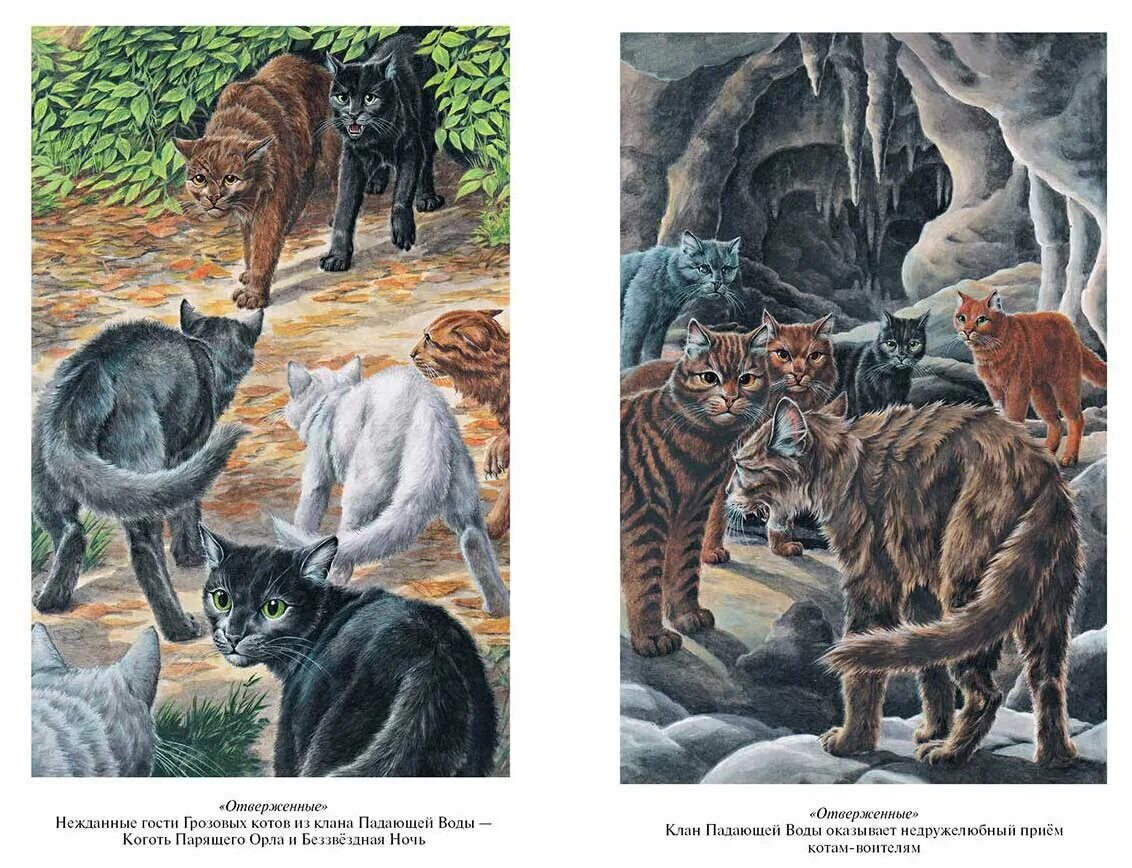 читать отверженные воители. тёмнохвост коты воители. читать отверженные воители. коты воители темнохвост. коты-воители эрин хантер книга отверженные.