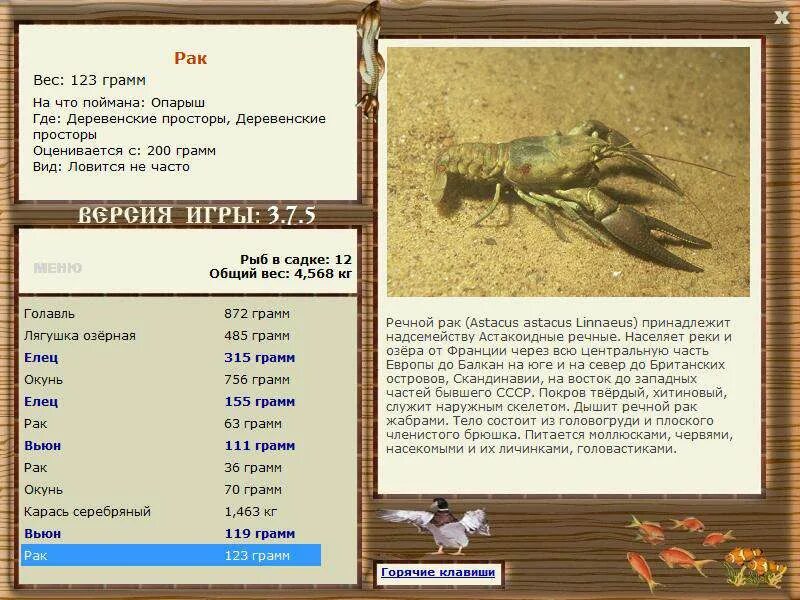 Rak 50 70 g 1 килограмм. вес рака. рачок 20 грамм. лангуст вес средний вес. на человека.