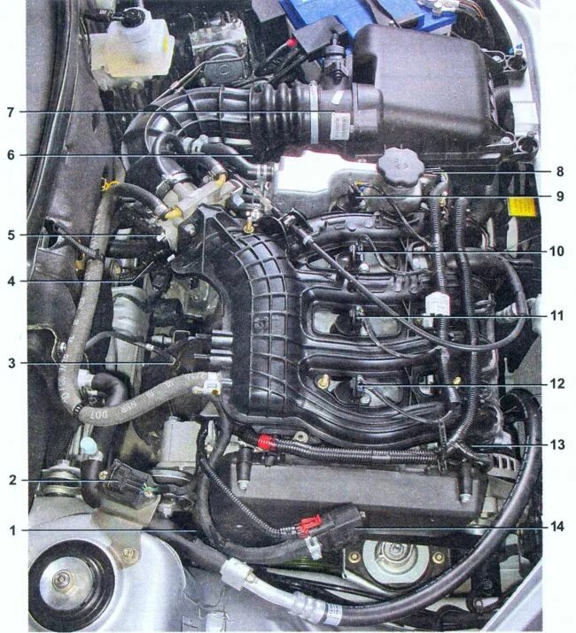 Датчики двигателя ваз приора 16 клапанов. Датчики системы охлаждения приора 16. Датчик температуры двигателя приора 16. Датчики двигателя приора 16. Датчик воздуха калина 8 клапанов двигатель 11183.