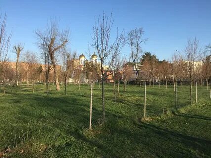 Дона апрель