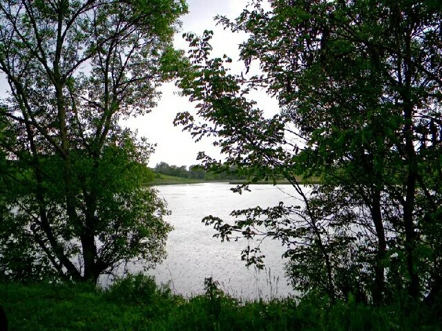 Братская могила советских воинов 1943 году белгород. Село никитское белгородская область. Никитское тульская область храм. Деревня рудня никитское. Деревня никитское белгородская область.