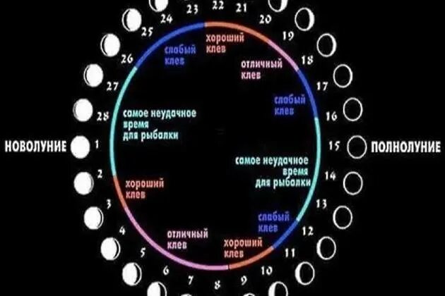 Лунный прогноз клева рыбы. Лунный календарь рыболова 2025. лунный календарь рыболова на 2025 год. лунные сутки для рыбалки. лунный рыболовный календарь на 2025 год.