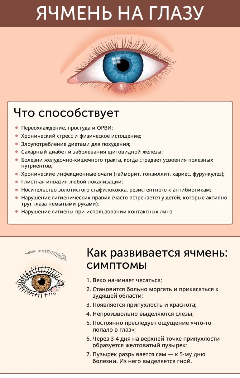 Как быстро убрать отек с верхнего века. Заболевания века ячмень. как можно вылечить ячмень на глазу веке.