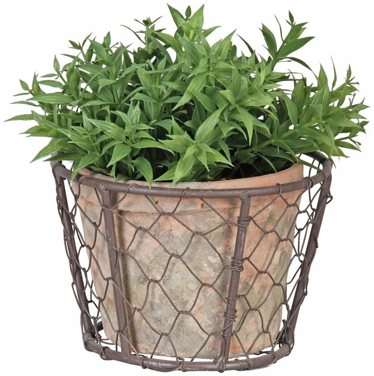 Декор,терракот 3,5л d21 h18см. Презентация кашпо для цветов. Цветок в горшке. Кашпо bama "терра", 30 см. Кашпо для цветов описание.