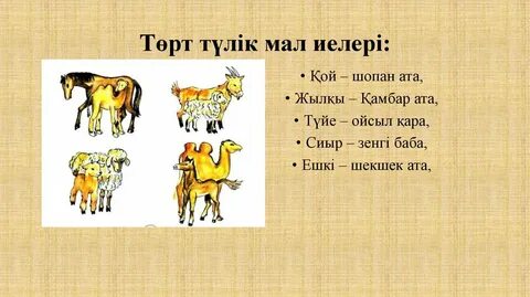 Бөлімдегі рентгенде анальды секс