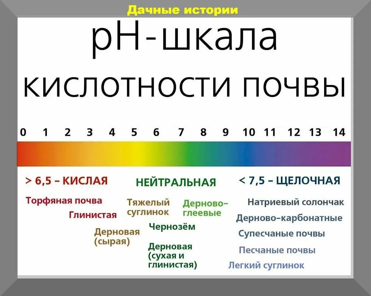 Почему кислые цвета кислые