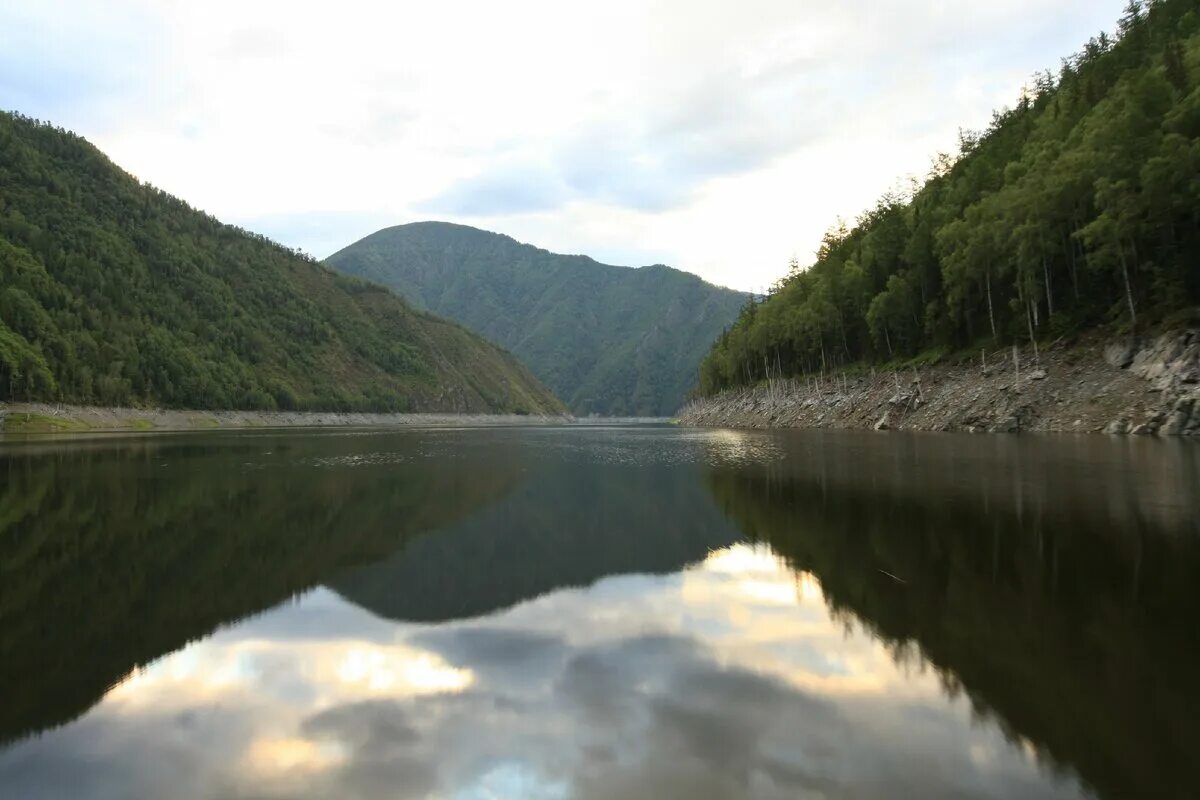 Саяно-Шушенское водохранилище. Юго-Восточном берегу озера Виви. Озеро Виви. Природа Шушенское Красноярский край. Поселок новый красноярского края