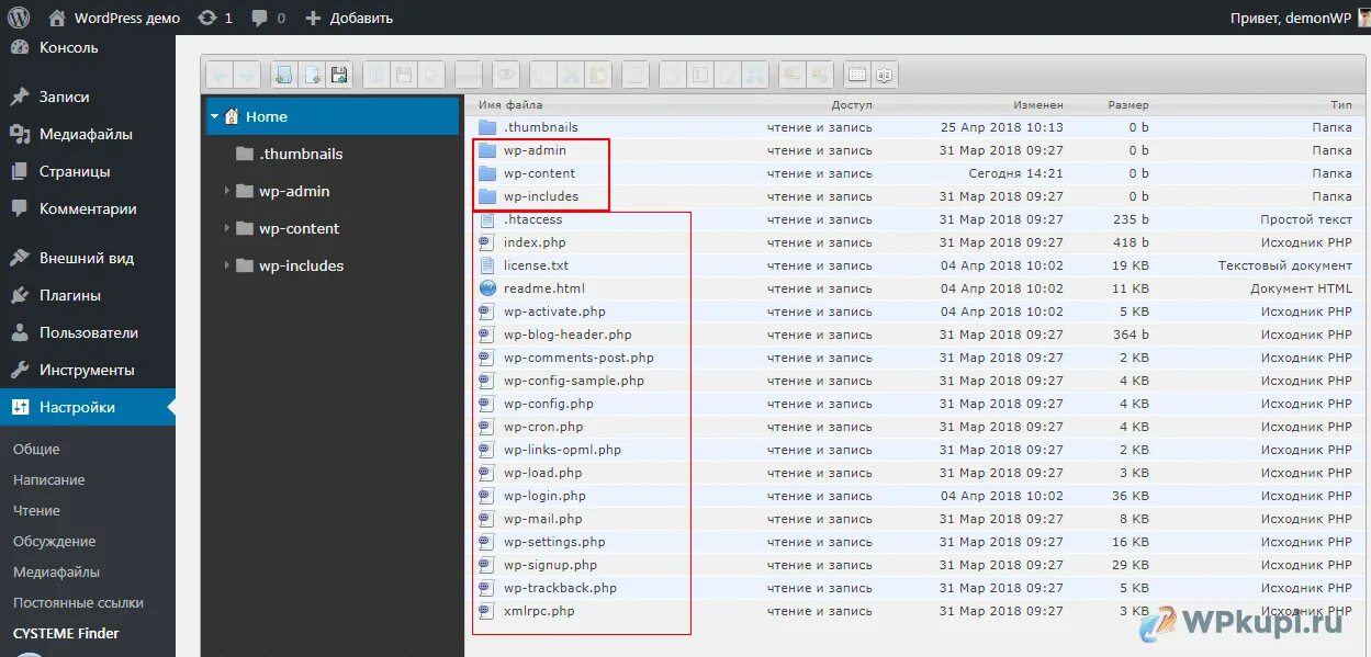 Файлы wordpress сайта. Директория сайта. Корневая директория сайта. Название корневой папки сайта. Wp includes папка.
